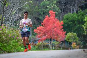 BIB: 8129
                            <button type="button" onclick="openModal(19238952)" class="btn btn-primary btn-sm float-right btn-popup" data-toggle="modal" data-target=".modal-high-quality">
                        <i class="fas fa-shopping-cart"></i> Add to Cart
                    </button>
                                            <button type="button" onclick="isThisMe(19238952, true)" class="btn btn-success btn-sm float-right btn-popup btn-isme hidden" data-toggle="tooltip" data-placement="bottom" title="นี่คือรูปของคุณใช่ไหม คลิกที่นี่เพื่อเอาเข้าอัลบั้ม">
                        <i class="fas fa-plus"></i> Add to album
                    </button>
                    <button type="button" onclick="isThisMe(19238952, false)" class="btn btn-warning btn-sm float-right btn-popup btn-isnotme hidden">
                        <i class="fas fa-ban"></i> Remove from album
                    </button>